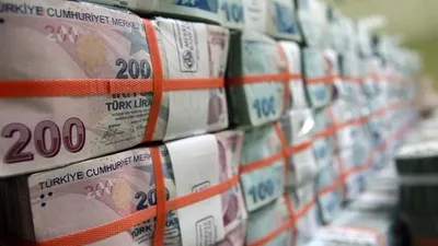 Hazine 2.9 milyar lira borçlandı !