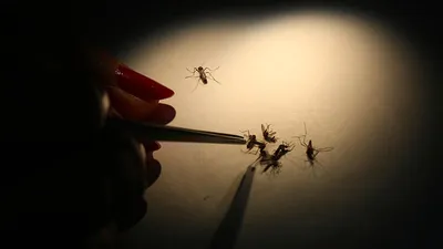 Salgın alarmı: 1.251 kişi hastanelik oldu