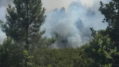 Antalya Kumluca'da orman yangını