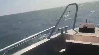 Deniz yatağında uyuyakalınca...