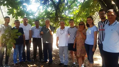 İlber Ortaylı, zeytinlik satın aldı
