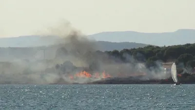 Ayvalık'ta piknik alanında yangın