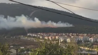 Pendik'te orman yangını !