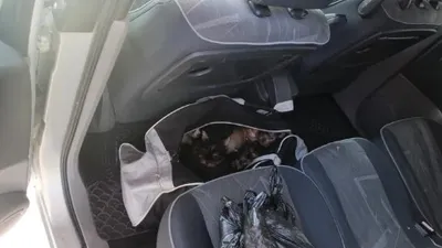 Türkiye'ye sokulacaktı... Çanta içinde yakalandı