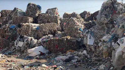 Greenpeace’ten İzmir'de suç duyurusu