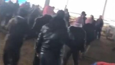 Deve kesen kasap bu kez esnafla kavga etti !
