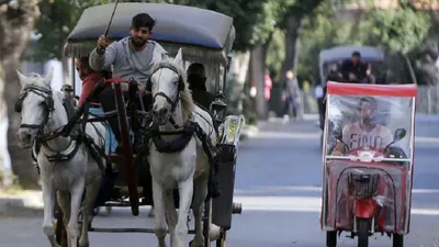 İBB Adalar'daki at ve faytonları almak için harekete geçti