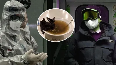 Meğer yarasa çorbası değilmiş ! Dünyaya yayılan virüsün kaynağı açıklandı