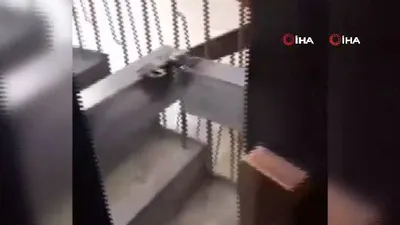Çin'de corona virüsü nedeniyle evler mi mühürlendi ?