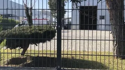 Pres makinesine sıkışarak can verdi