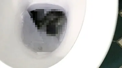 Klozet kapağını açınca gözlerine inanamadı