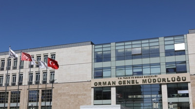 Orman Genel Müdürlüğü KPSS işçi alacak