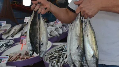 Balığı hava çarptı! Fiyatlar ne zaman düşecek?