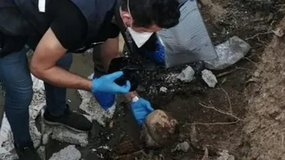 Dehşete düşüren görüntüler! Poşetin içinden kafatasları çıktı