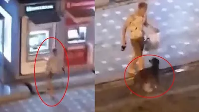 Rus turist, önce ATM'yi sonra köpeği tekmeledi!