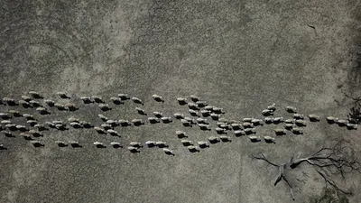 Türkiye'yi beton ormanına çevirenler utansın!