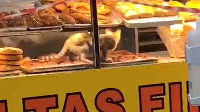 Fırında pes dedirten görüntü!
