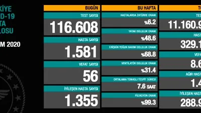Ağır hasta sayısı düşüyor! İşte son 24 saatin koronavirüs tablosu