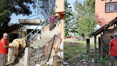 Kardeşlerin çözülemeyen arazi kavgası