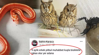 İnternette yasa dışı hayvan ticareti