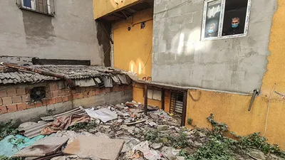 İstanbul'da kedi katliamı!