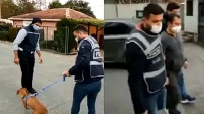 Hayvanlara yönelik cinsel içerikli paylaşım yapan şüpheli yakalandı