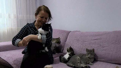 58 yaşındaki kadın 170 kediye bakıyor!