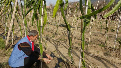 Kardeşi denesin diye gönderdi, şimdi siparişlere yetişemiyor