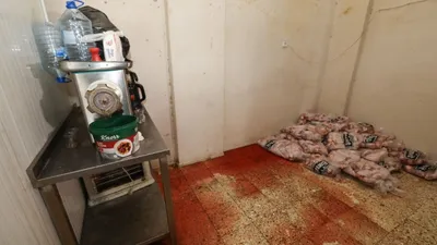 Tavuk döner imalathanesine baskın ! Görüntüler mide bulandırdı