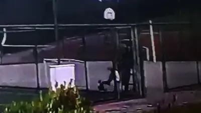 İstanbul'da dehşet! Bulun bu hayvanı!