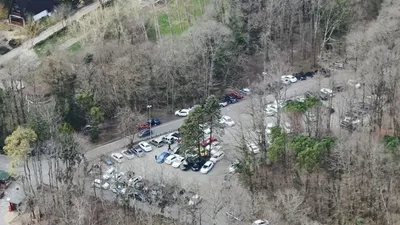 Mangal ve piknik yapmak yasaklandı