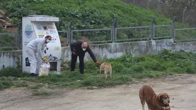 Sarıyer'de can dostlarımız belediyeye emanet