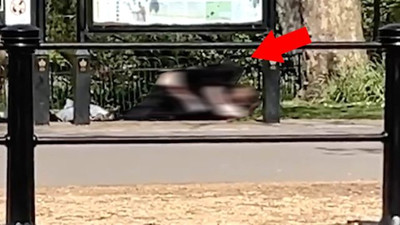 Dışarıda güpegündüz cinsel ilişkiye girdiler !
