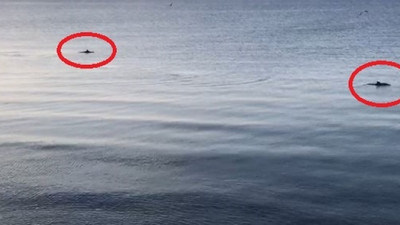Marmara Denizi onlara kaldı! 