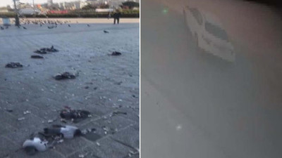 Eminönü'nde otomobiliyle güvercinleri ezdi!