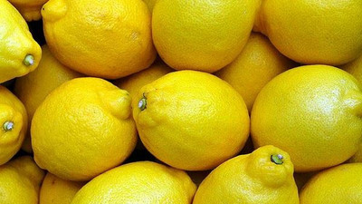 Bakan Pakdemirli 10 bin ton limon ihracatı yapılacağını açıkladı