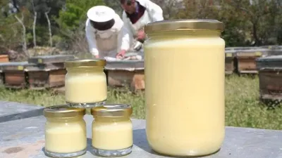 Koronavirüs arı sütü taleplerini arttırdı