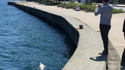 Tarabya Sahili'de üzücü görüntü