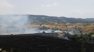 Manisa'da yangın! Buğday tarlası küle döndü