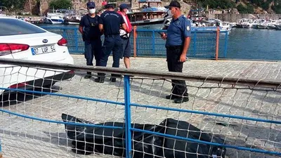 Antalya'da denizde esrarengiz ceset