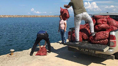 Edirne'de ele geçirildi! Tam 1 ton...