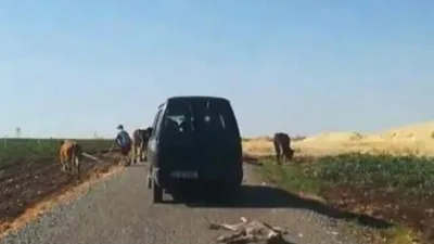 Vicdanları sızlatan görüntü! Bunu insan olan yapmaz!