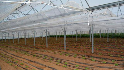 Sakarya'da 12 ay boyunca üretim yapılacak