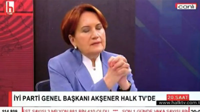 Meral Akşener özür diledi