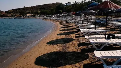 Muhtar halk plajını ihaleyle kiraladı: Şezlong ücretli oldu!