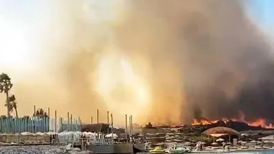 İzmir Alaçatı'da korkutan yangın!