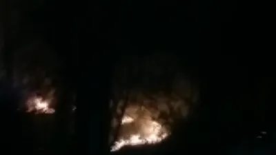 Belgrad Ormanı'nda yangın