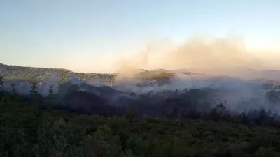 Antalya Manavgat'ta orman yangını
