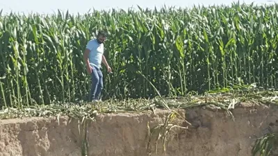 Konya'da 25 metre çapında yeni obruk