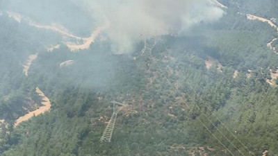 İzmir'de korkutan orman yangını